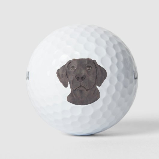Schokolade Labrador Golfball (Vorderseite)