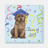 Schokolade Labrador Graduate Magnet (Vorne)