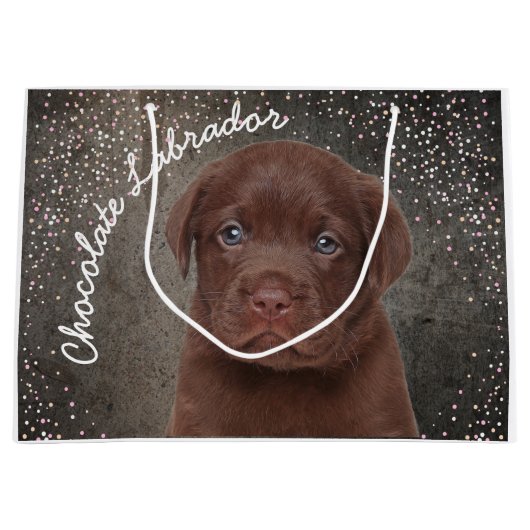 Schokolade Labrador Große Geschenktüte (Vorderseite)