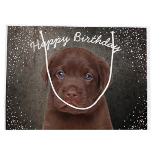Schokolade Labrador Große Geschenktüte