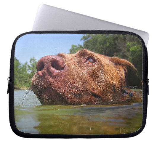 Schokolade Labrador Grubenschwanz 9 Laptopschutzhülle (Vorderseite)