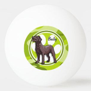 Schokolade Labrador; hellgrüne Camouflage, Tarnung Tischtennisball