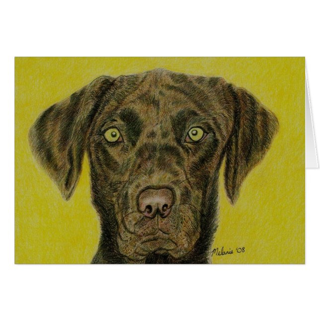 Schokolade Labrador - Hershey (Vorderseite (Horizontal))