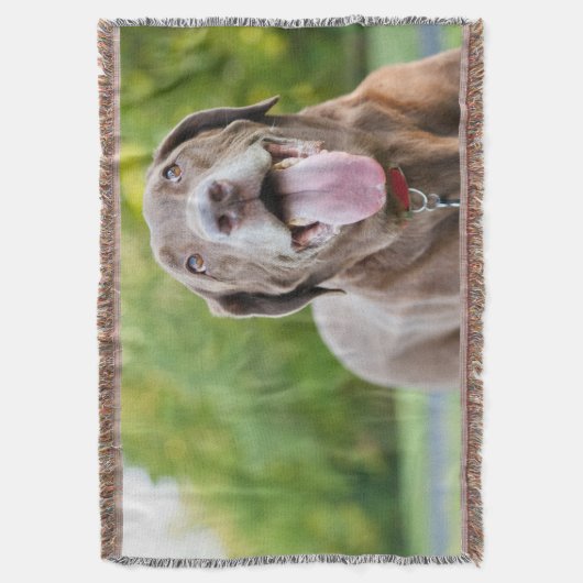 Schokolade Labrador Hund Decke (Vorderseite Vertikal)