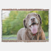 Schokolade Labrador Hund Decke (Vorderseite)