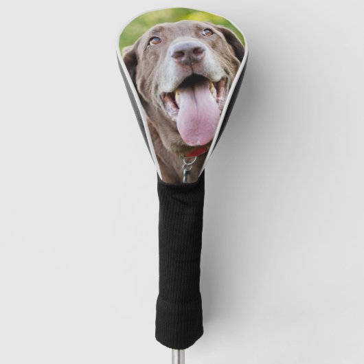 Schokolade Labrador Hund Golf Headcover (Vorderseite)