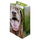Schokolade Labrador Hund Kleine Geschenktüte (Vorderseite Schrägansicht)