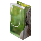 Schokolade Labrador Hund Kleine Geschenktüte (Rückseite Schrägansicht)
