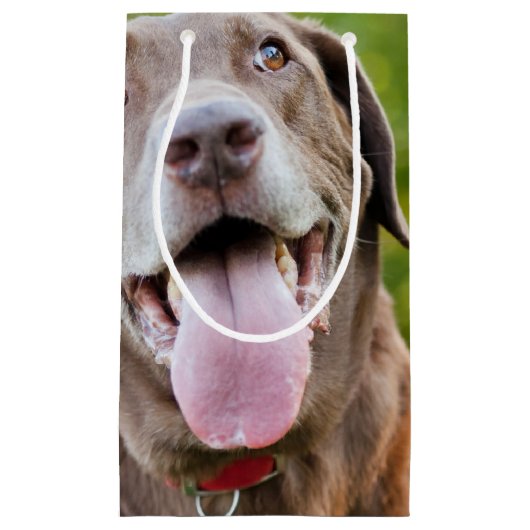 Schokolade Labrador Hund Kleine Geschenktüte (Vorderseite)