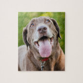 Schokolade Labrador Hund Puzzle (Vertikal)