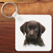 Schokolade Labrador Hund Schlüsselanhänger (Vorderseite)