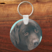 Schokolade Labrador Hund Schlüsselanhänger (Vorderseite)