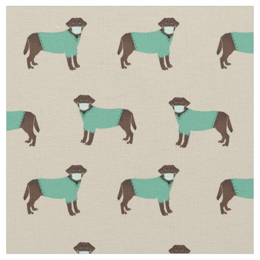 Schokolade Labrador-Hund Stoff (Nahaufnahme)