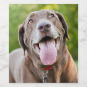 Schokolade Labrador Hund Weinetikett (Einzelnes Label)