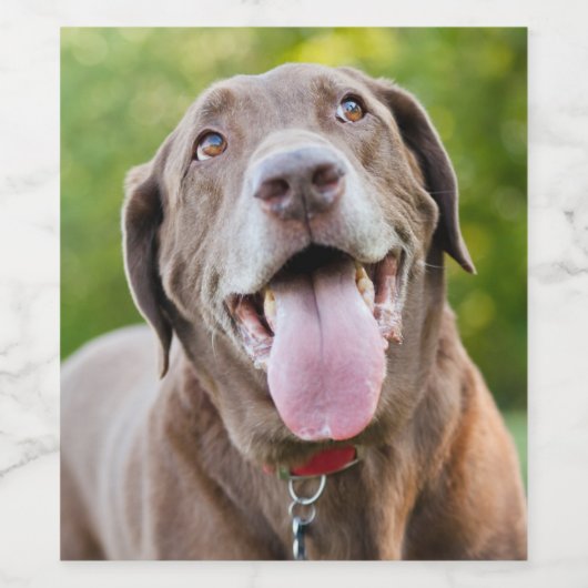 Schokolade Labrador Hund Weinetikett (Einzelnes Label)