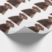 Schokolade Labrador Hund Welpe Foto Pet Labrador R Geschenkpapier (Ecke)