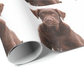Schokolade Labrador Hund Welpe Foto Pet Labrador R Geschenkpapier (Rolleneckpunkt)
