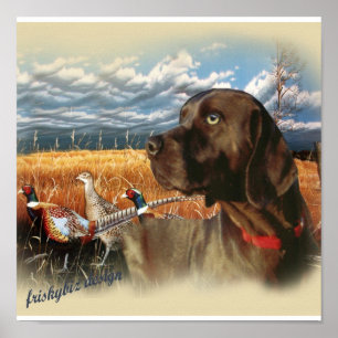 Schokolade Labrador Hunts Poster