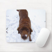 Schokolade Labrador im Schnee Mousepad (Mit Mouse)