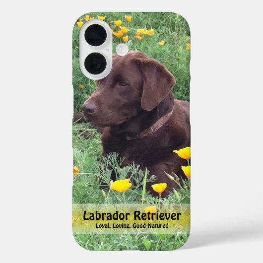 Schokolade Labrador in California Poppy Patch Case-Mate iPhone Hülle (Rückseite)