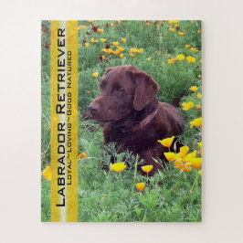 Schokolade Labrador in California Poppy Patch Cust Puzzle