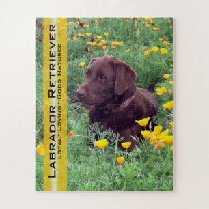 Schokolade Labrador in California Poppy Patch Cust Puzzle