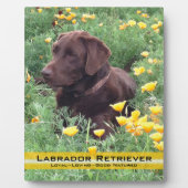 Schokolade Labrador in California Poppy Patch Fotoplatte (Vorderseite)