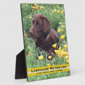 Schokolade Labrador in California Poppy Patch Fotoplatte (Seite)