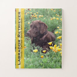 Schokolade Labrador in California Poppy Patch Puzzle