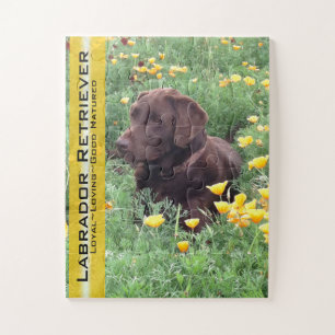 Schokolade Labrador in California Poppy Patch Puzzle