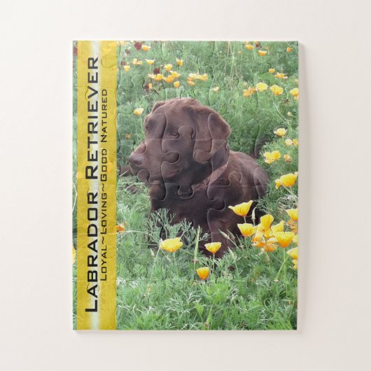 Schokolade Labrador in California Poppy Patch Puzzle (Vertikal)