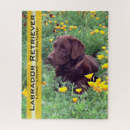 Schokolade Labrador in California Poppy Patch Puzzle
