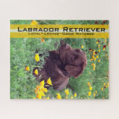 Schokolade Labrador in California Poppy Patch Puzzle (Horizontal)