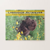 Schokolade Labrador in California Poppy Patch Puzzle (Horizontal)