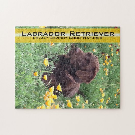 Schokolade Labrador in California Poppy Patch Puzzle (Horizontal)