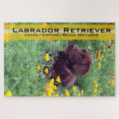 Schokolade Labrador in California Poppy Patch Puzzle (Horizontal)
