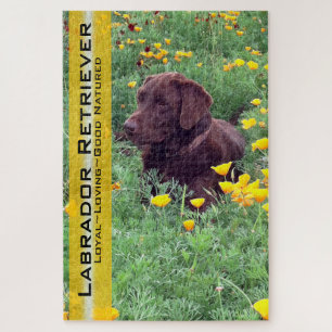 Schokolade Labrador in California Poppy Patch Puzzle