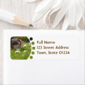 Schokolade Labrador in den Daisies Mailing Labels (Insitu)