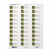 Schokolade Labrador in den Daisies Mailing Labels (Vorne)