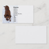 Schokolade Labrador in der Schnee-Visitenkarte Visitenkarte (Vorne/Hinten)