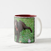Schokolade Labrador Kaffee Tasse (VorderseiteRechts)