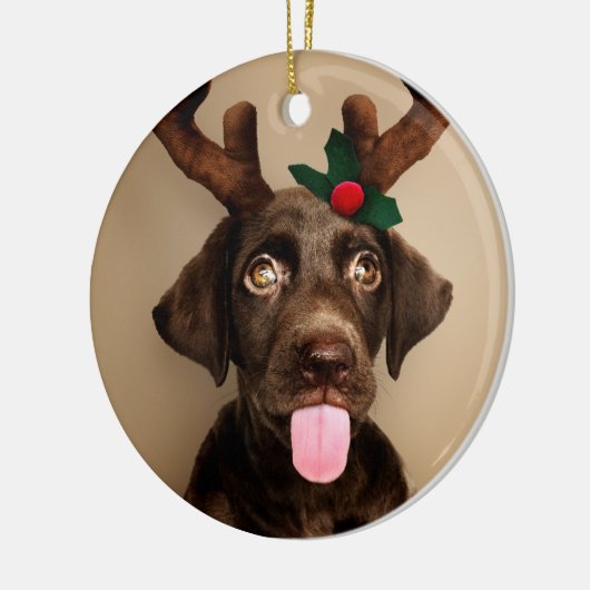 Schokolade-Labrador Keramik Ornament (Links)