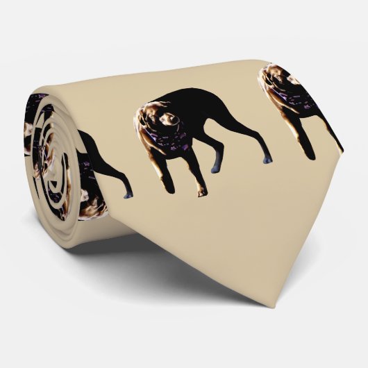 Schokolade Labrador Krawatte (Gerollt)