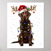 Schokolade Labrador Labrador Weihnachtsbaum Light  Poster (Vorne)