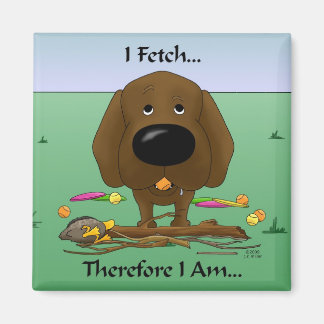 Schokolade Labrador (Labradore) - Ich hole...Magne Magnet