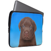 Schokolade Labrador Laptopschutzhülle (Vorne Rechts)