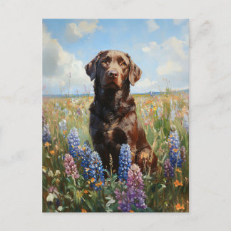 Schokolade Labrador Lupine Blume Postkarte