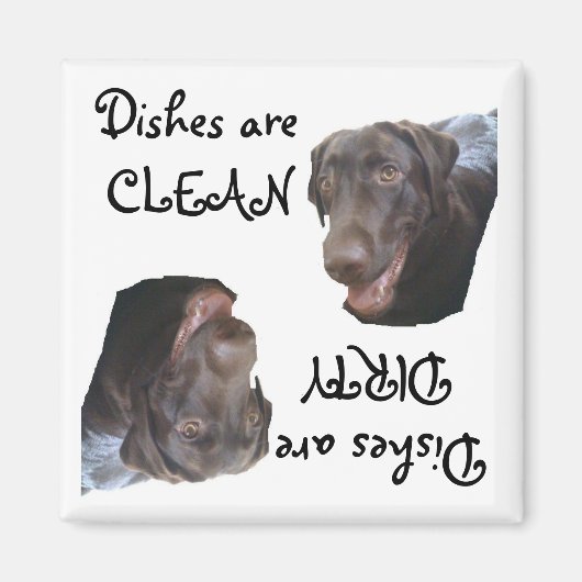 Schokolade Labrador Magnet (Vorne)