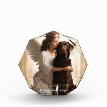 Schokolade Labrador mit Angel Custom Memorial