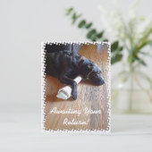 Schokolade Labrador mit Knochenaufnahme Postkarte (Stehend Vorderseite)